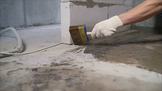 SJ Waterproofing Pros Exterior Waterproofing coverage map for Burt, NY and surrounding area